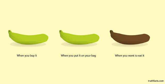 Shangrala's Humorous Graphs