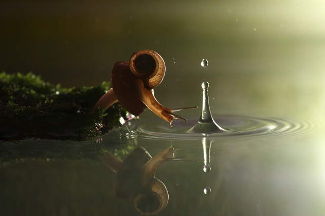 Shangrala's When It Rains