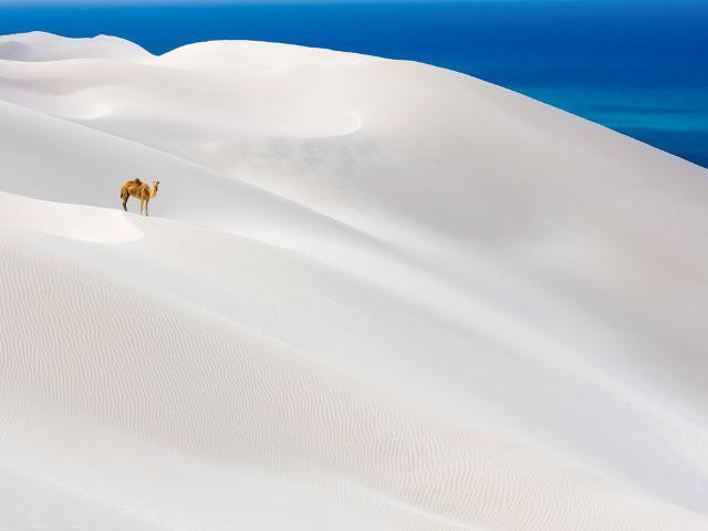 Shangrala's Best Of National Geographic 4