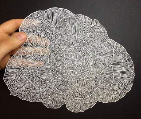 Shangrala's Cut Paper Art