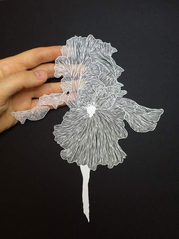 Shangrala's Cut Paper Art
