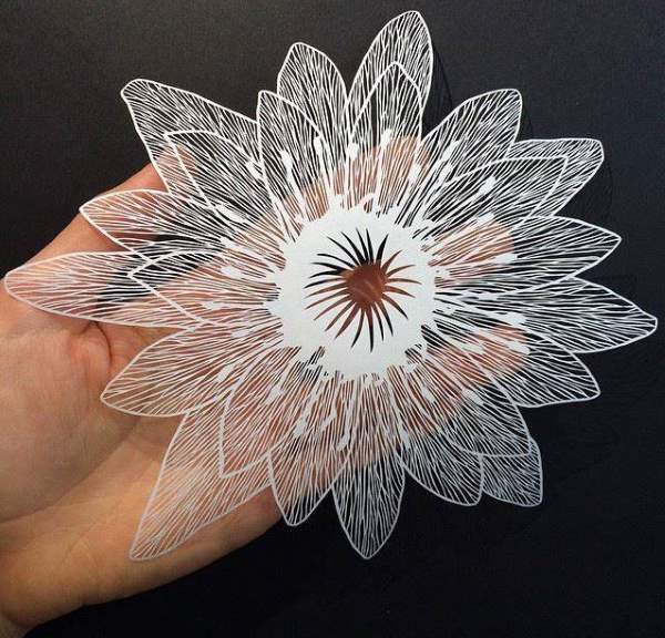 Shangrala's Cut Paper Art