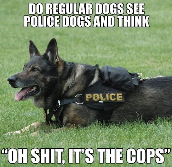Shangrala's Police Dogs 3