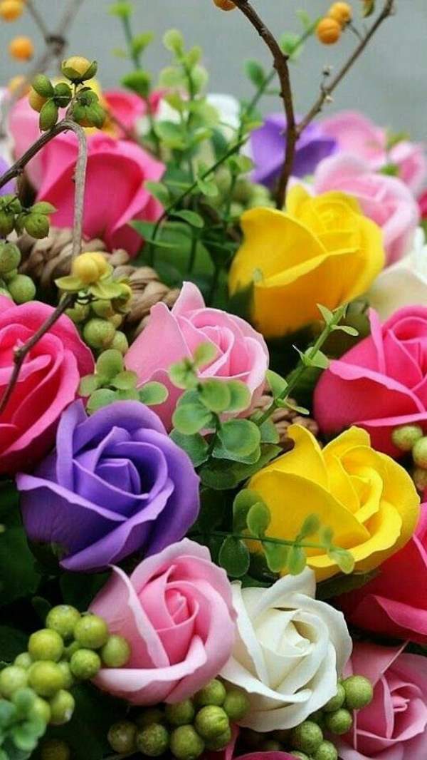 Shangrala's Beautiful Roses