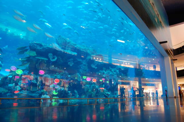 Shangrala's Only In Dubai