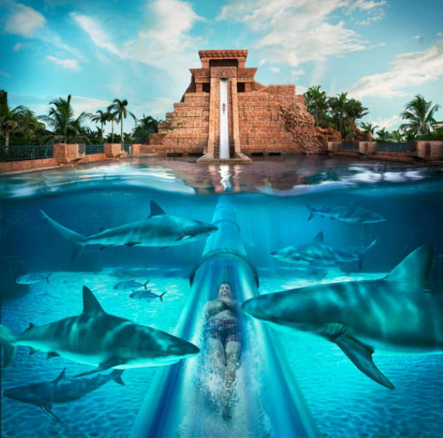 Shangrala's Only In Dubai