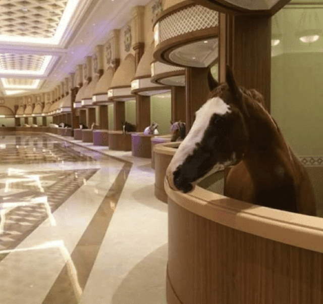 Shangrala's Only In Dubai