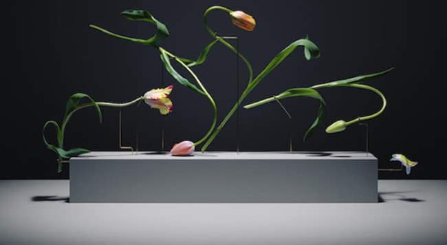 Shangrala's Flower Art 3
