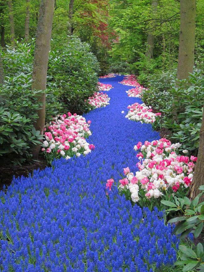 Shangrala's Flower Art 3
