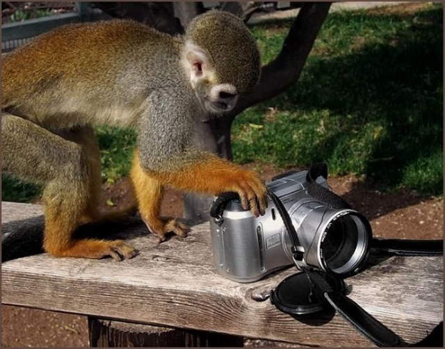 Shangrala's Budding Photographers 3