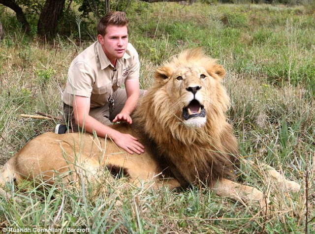 Shangrala's Lion Massages