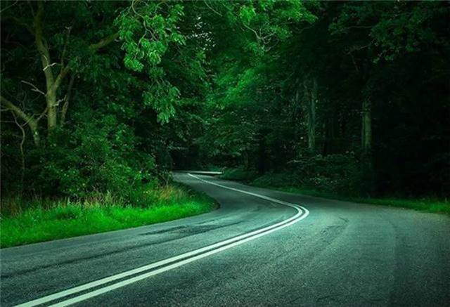 Life's Many Roads