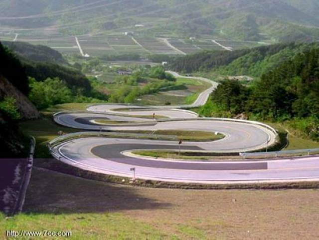 Life's Many Roads