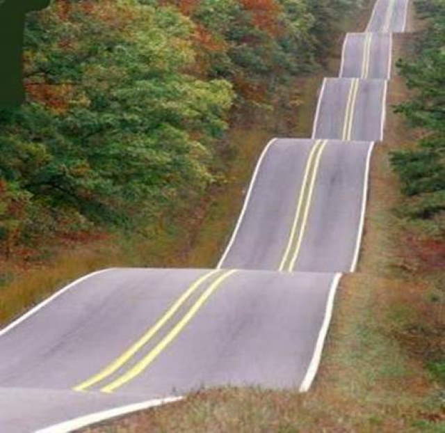 Life's Many Roads