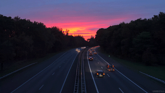 Life's Many Roads