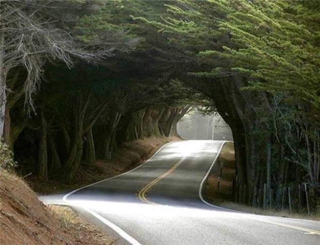 Life's Many Roads