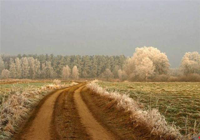 Life's Many Roads