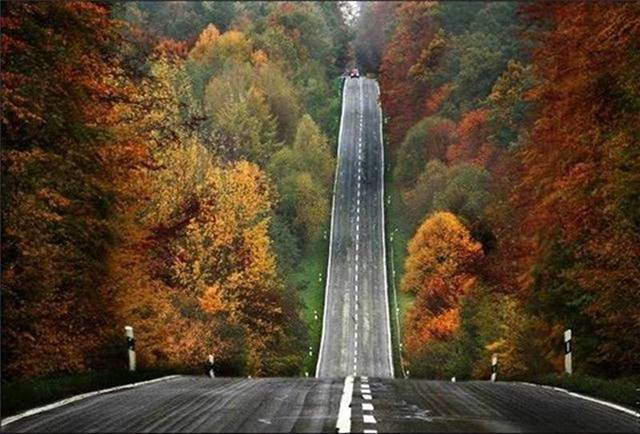 Life's Many Roads
