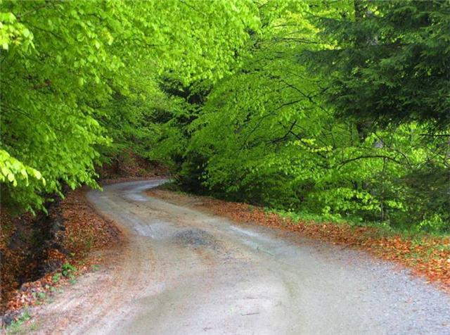 Life's Many Roads