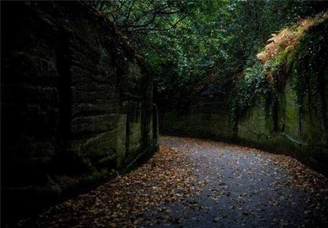 Life's Many Roads