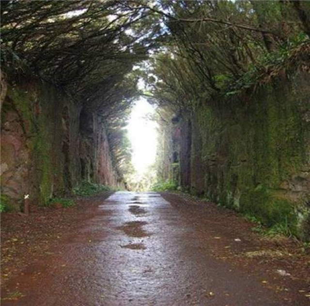 Life's Many Roads