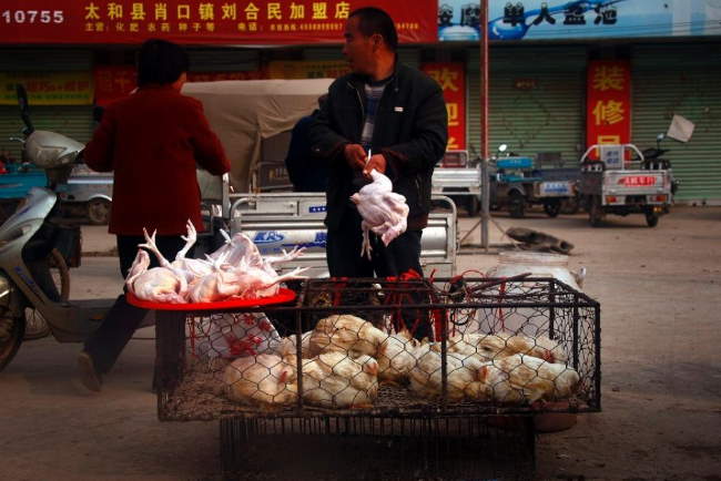 Shangrala's Chinese Food Markets