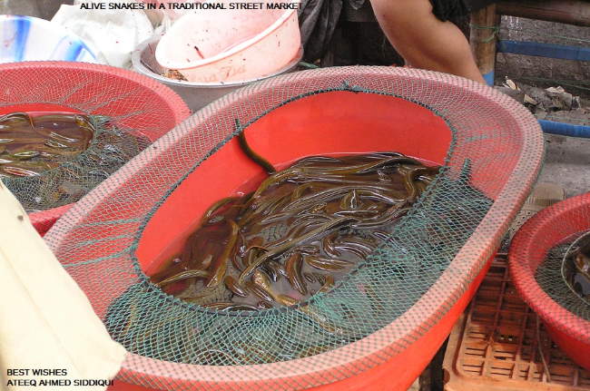 Shangrala's Chinese Food Markets