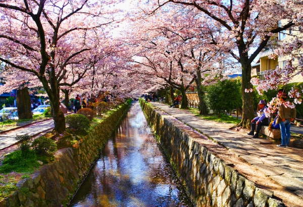 Shangrala's World's Beautiful Streets