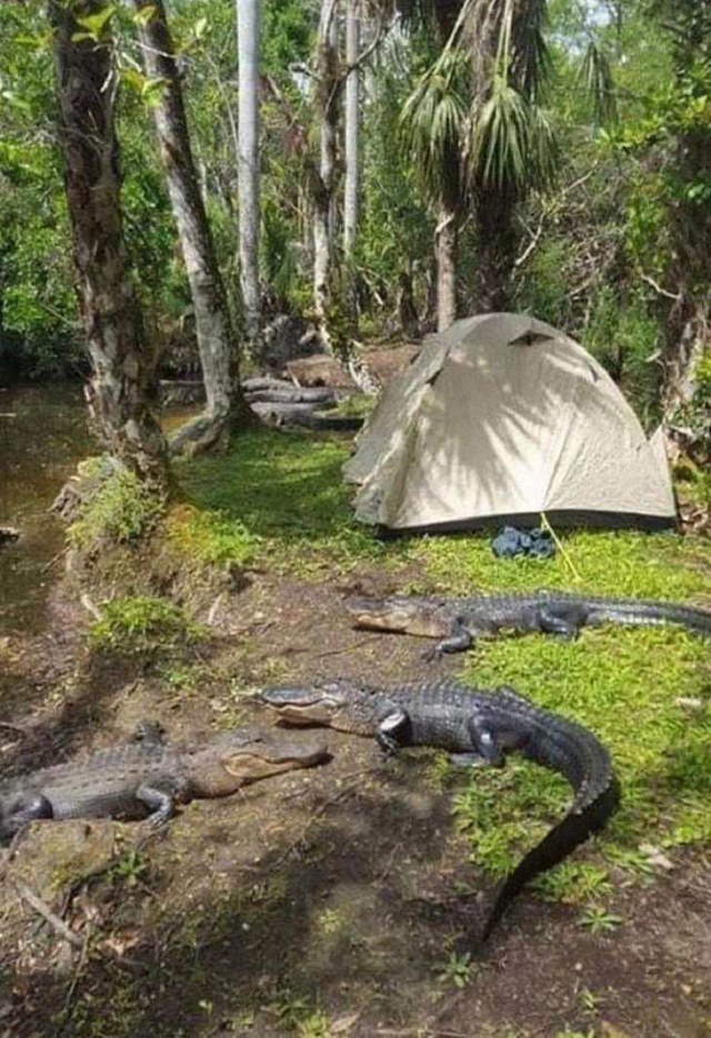 Unusual Photos 3