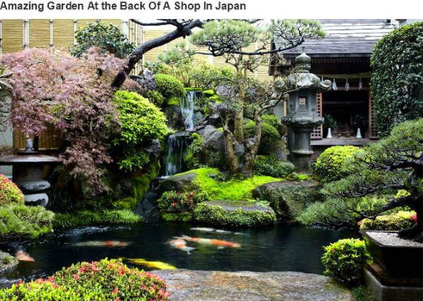 Extraordinary Photos 4