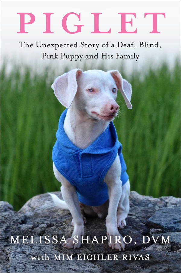 Shangrala's Piglet The Pink Puppy