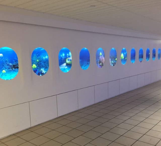 Shangrala's Airport Moments