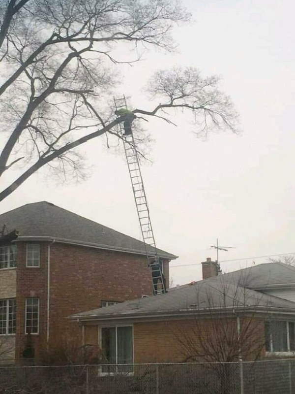 Shangrala's Morons At Work 8!