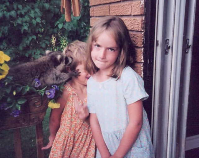 Shangrala's Cute Raccoons