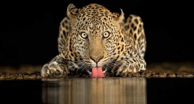 Shangrala's Sony Photo Award Winners