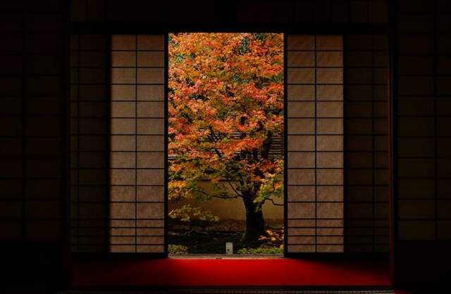 Shangrala's Sony Photo Award Winners