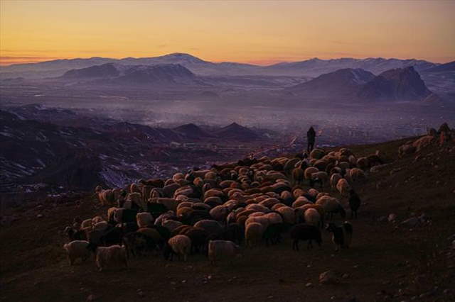 Shangrala's Sony Photo Award Winners