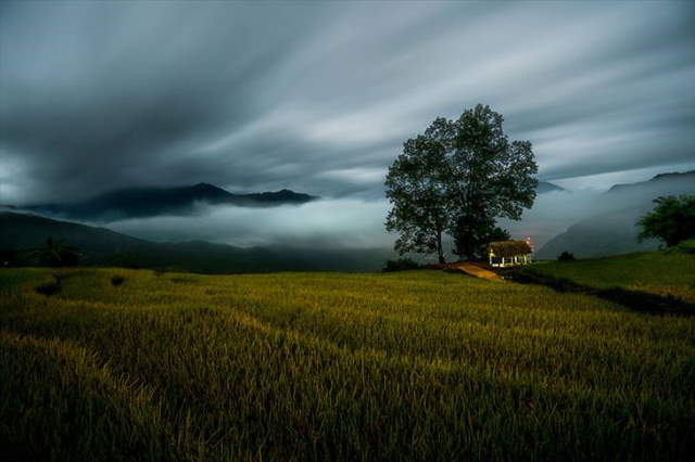 Shangrala's Sony Photo Award Winners