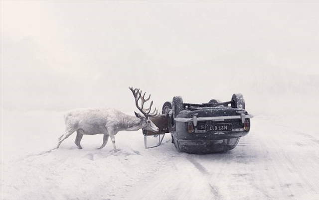 Shangrala's Sony Photo Award Winners
