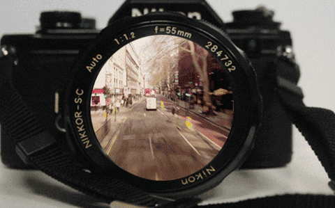 Shangrala's Sony Photo Award Winners