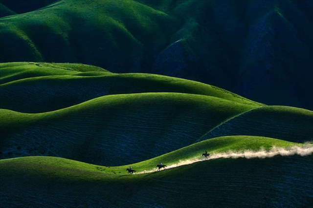Shangrala's Sony Photo Award Winners