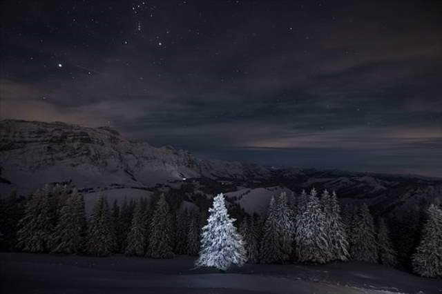 Shangrala's Sony Photo Award Winners