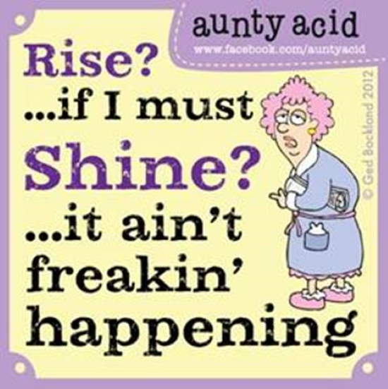 Shangrala's Aunty Acid Humor