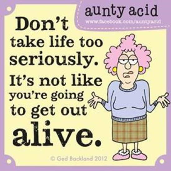 Shangrala's Aunty Acid Humor