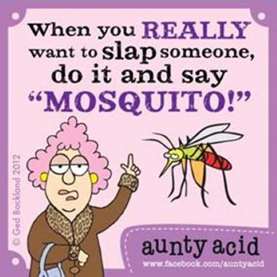 Shangrala's Aunty Acid Humor