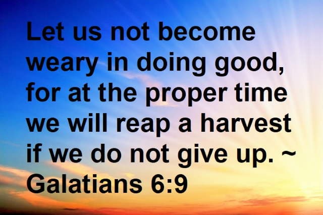 Shangrala's Biblical Advice