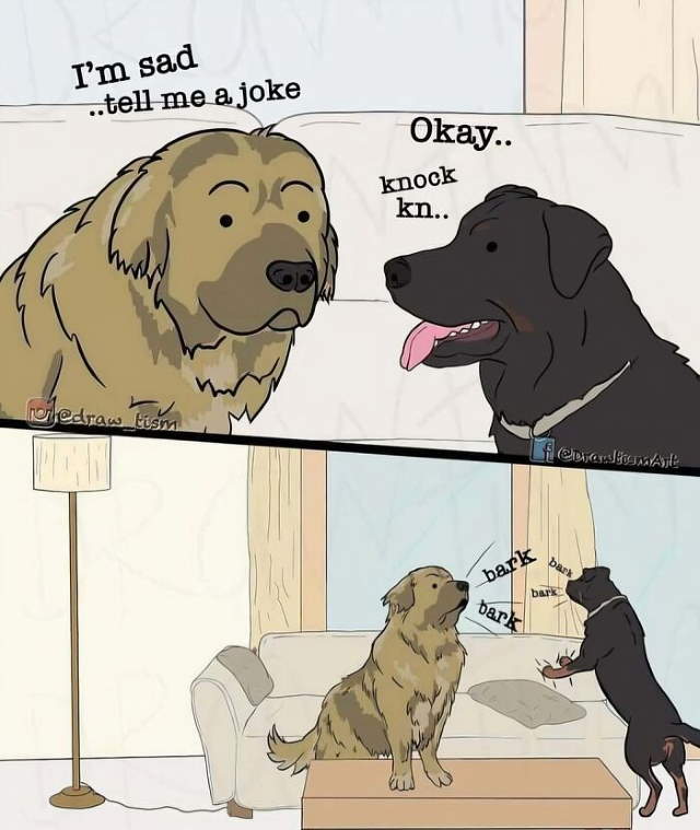 Shangrala's Funny Animal Memes