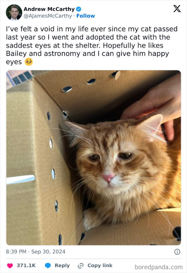 Shangrala's Funny Animal Memes