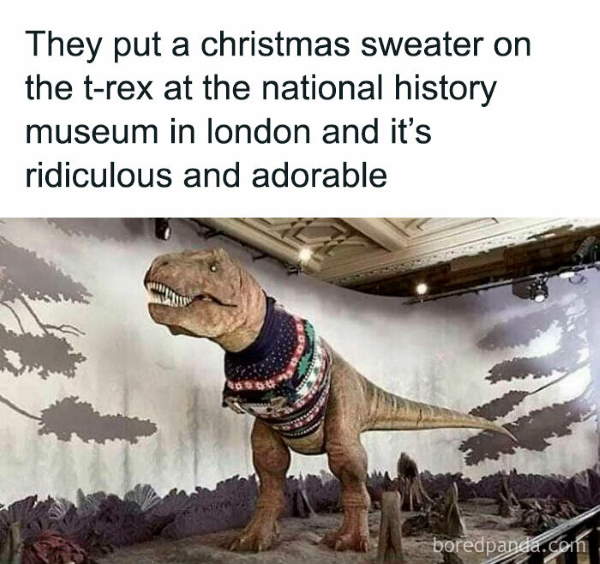 Shangrala's Funny Animal Memes