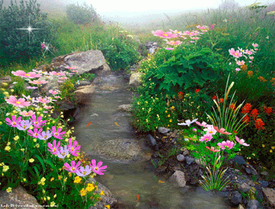 Shangrala's Garden Inspirations